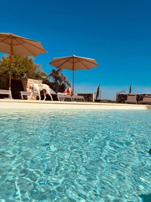 Dome Insolite Lichen Jacuzzi Et Petits-Dejeuners Inclus Gondrin 외부 사진